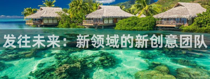 pp电子官网下载分分彩：发往未来：新领域的新创意团队