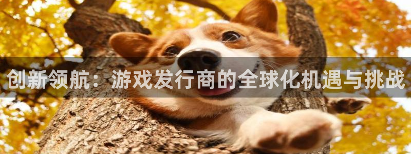 pp电子集团董事长刘一辰简历：创新领航：游戏发行商的全球化机遇与挑战