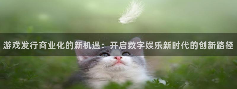 pp电子集团有限公司