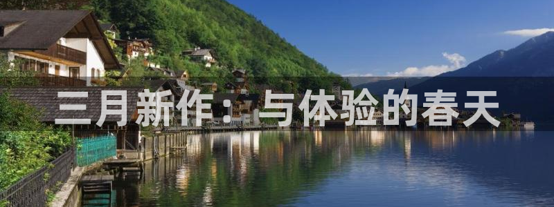 pp电子主管
