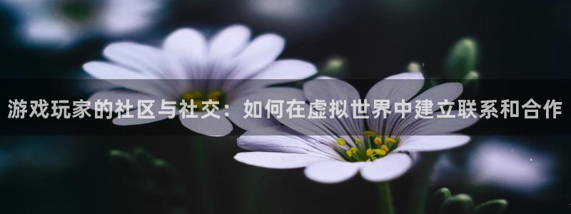pp电子子书单