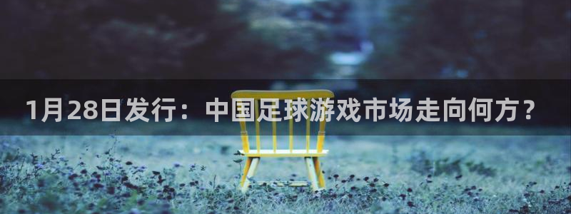 pp电子子上市：1月28日发行：中国足球游戏市场走向何方？