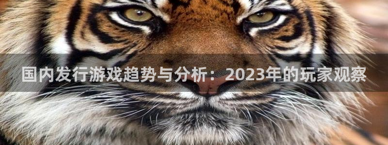 pp电子子的所有小说：国内发行游戏趋势与分析：2023年的玩家观察