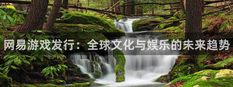 pp电子官网是什么娱乐?：网易游戏发行：全球文化与娱乐的未来趋势