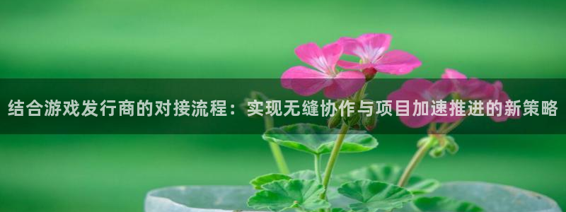 pp电子龙