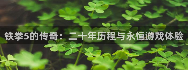 pp电子军团是哪个国家队：铁拳5的传奇：二十年历程与永恒游戏体验