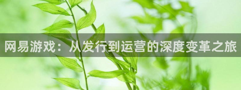 pp电子官网平台代理开号流程：网易游戏：从发行到运营的深度变革之旅