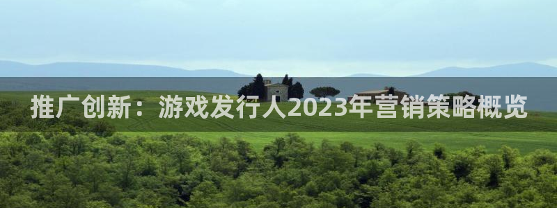 pp电子超纯啤酒怎么样：推广创新：游戏发行人2023年营销策略概览
