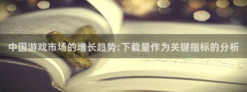 广州pp电子网络科技有限公司